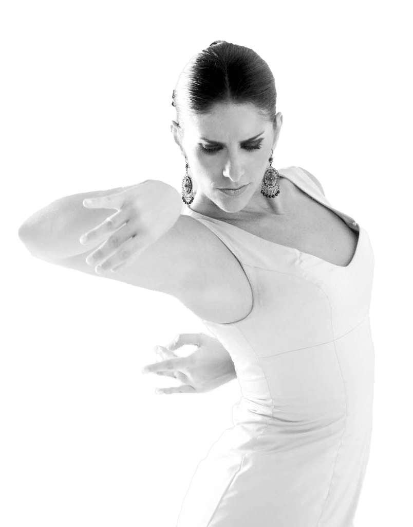 Escuela de flamenco y danza Lucía Guarnido